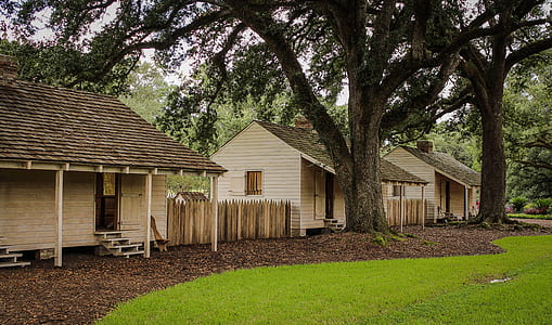 brown wooden house under the tree thumbnail