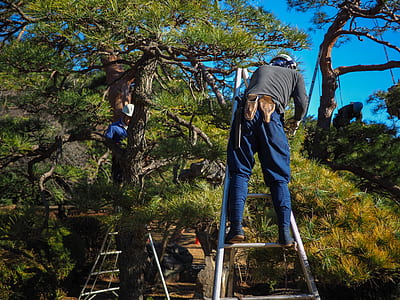man standing on ladder thumbnail