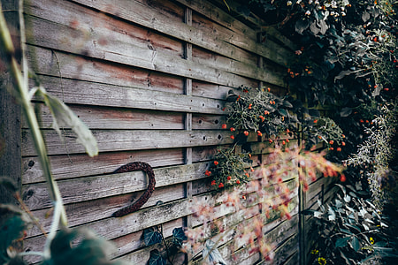 assorted potted plant hanged on wall outdoor during daytime thumbnail