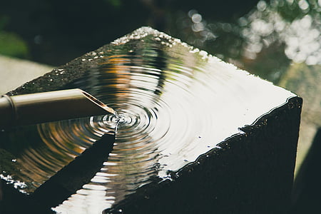 drop body of water from bamboo rod thumbnail