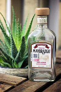 empty Mayorazgo glass whiskey bottle on brown wooden pallet near green aloe vera plant thumbnail
