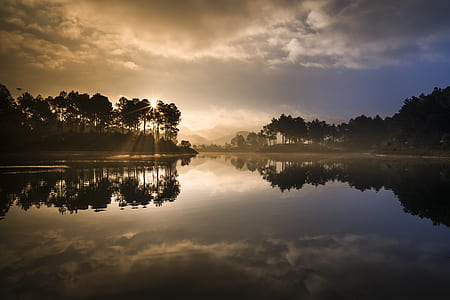 reflection of trees on body of water during daytime thumbnail