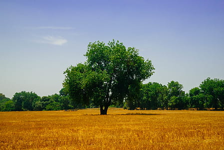 landscape, nature, sky, clouds thumbnail
