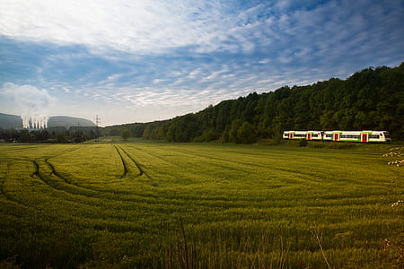 green grass field thumbnail