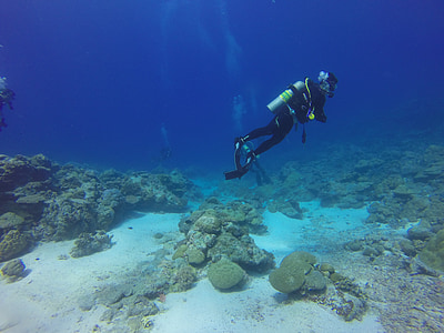 person doing scuba diving thumbnail