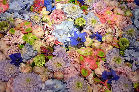 assorted flowers thumbnail