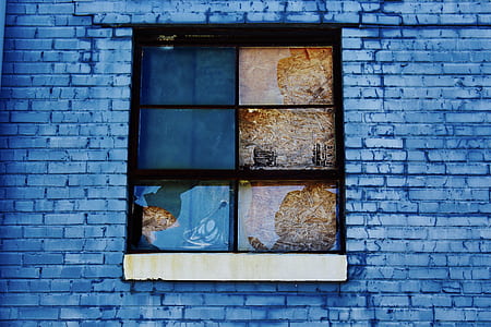 black sash window on blue brick building thumbnail