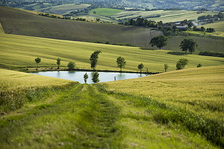 green field thumbnail