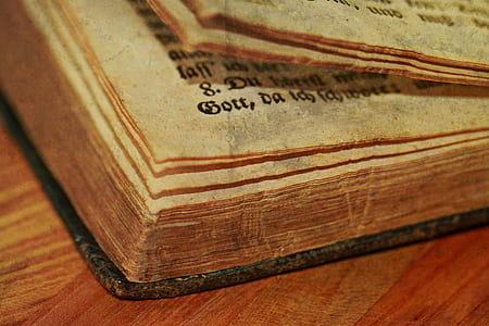 brown book thumbnail