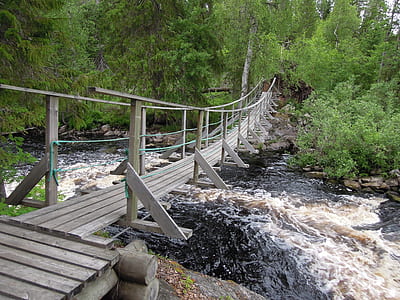 brown wooden bridge at daytime thumbnail