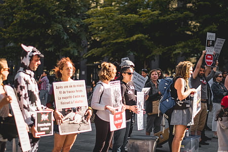people holding signage thumbnail