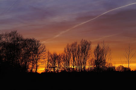 Silhouette of Trees Against Dramatic Sky thumbnail