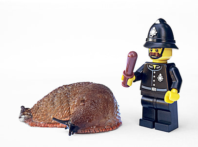 brown snail thumbnail