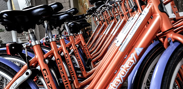 red-and-black bicycle lot thumbnail