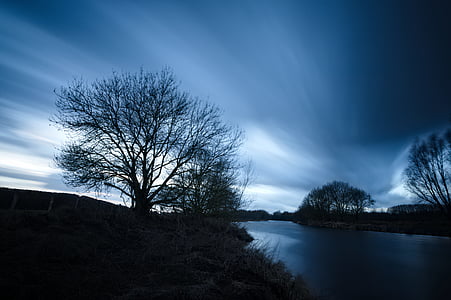 silhouette photo of bare trees near body of water thumbnail