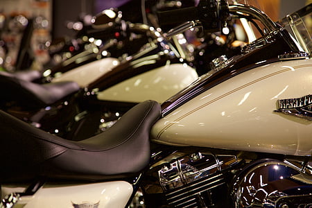 selective focus photography white Harley-Davidson cruiser motorcycle thumbnail