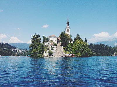 cathedral surrounded by trees near water thumbnail