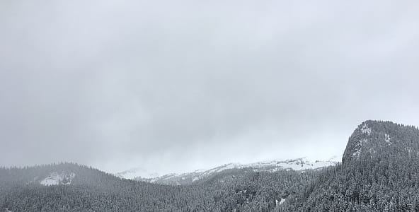 green trees near mountain at daytime thumbnail
