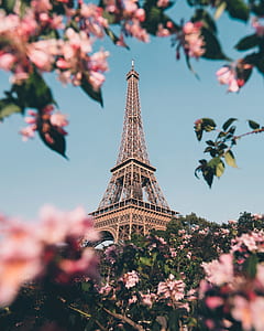 Shallow Focus Photography of Eiffel tower Paris thumbnail
