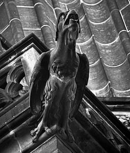 grayscale photography of eagle statue mounted on building's corner thumbnail