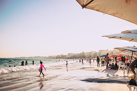 Seashore thumbnail