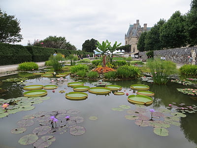 pond photo during daytime thumbnail