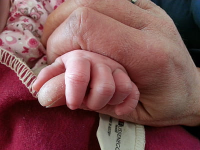 person holding child's hand close-up photo thumbnail