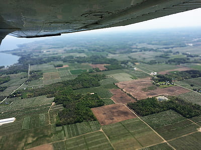top view grass field thumbnail
