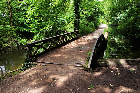 brown and black bridge near trees thumbnail