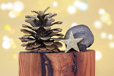 selective focus photography of pinecone and star decors thumbnail