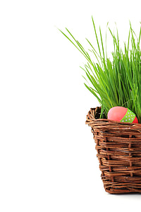 brown wicker basket with green plant thumbnail