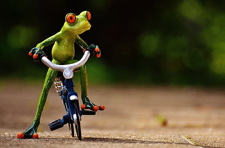 selective focus photography of tree frog riding bicycle outdoors thumbnail