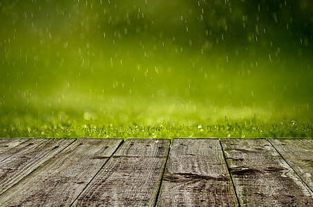 selective focus photo of brown planks near green grasses thumbnail