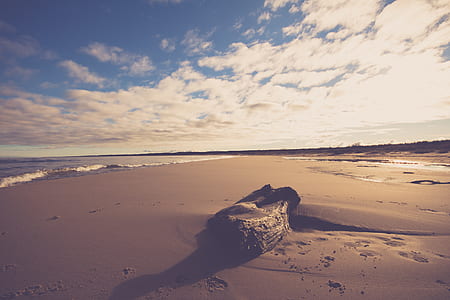 Brown Wood Log on Sand Near Seashore thumbnail