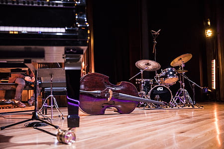 brown cello on floor thumbnail