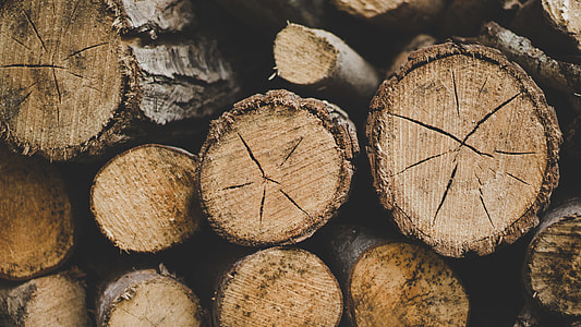 selective focus photography of pile of logs thumbnail