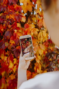The woman takes a picture of the autumn leaves with her phone thumbnail