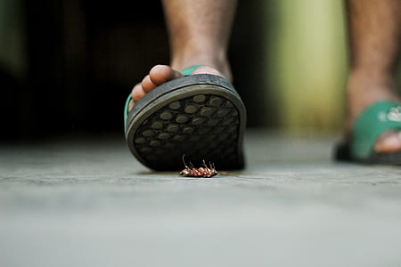 person wearing green slide sandals thumbnail