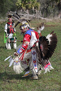 man wearing feather costume dancing on field thumbnail