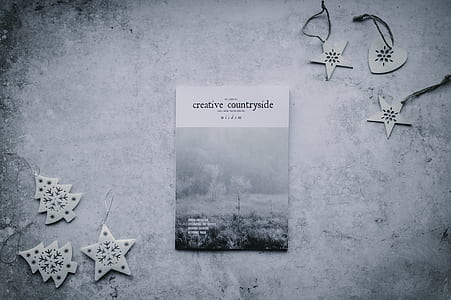 Creative Countryside book thumbnail
