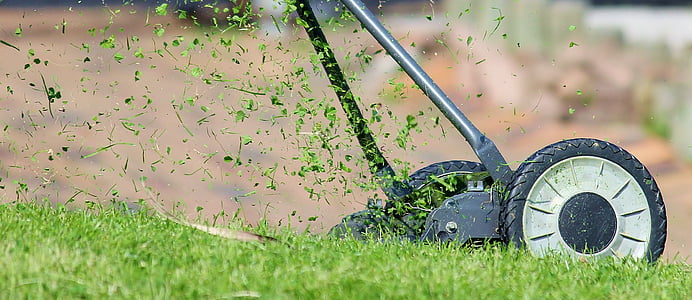 black mower trimming grasses thumbnail