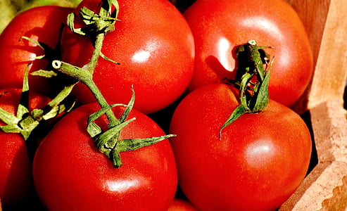 bunch of tomatoes thumbnail