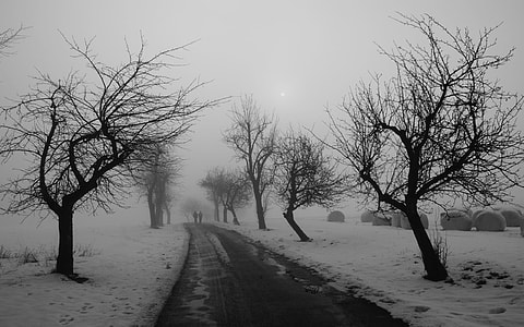 snow covered road under cloudy sky thumbnail