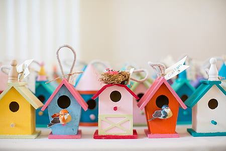 assorted-color wooden birdhouses thumbnail