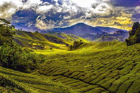 landscape photograph of green field and mountains thumbnail