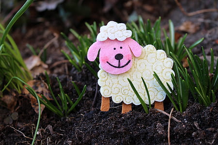 pink sheep toy on grass thumbnail