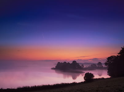 silhouette forest during sunset thumbnail