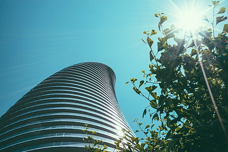 sun, building, curve, plant thumbnail