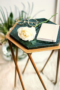 white rose on brown wooden side table thumbnail