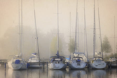 parked five white outboard boats thumbnail